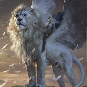 Meet your Posher, Agustin